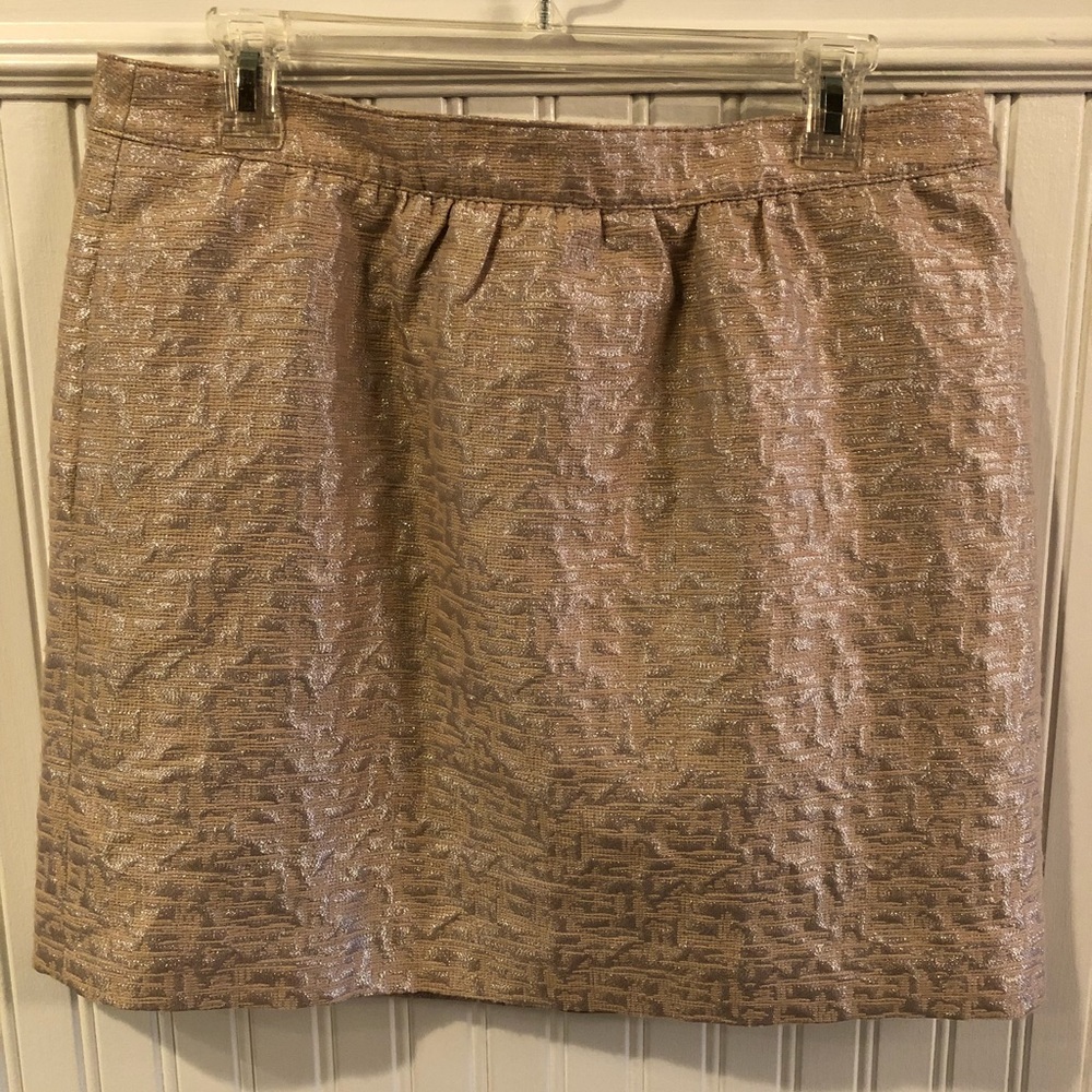 Ann Taylor LOFT Light & Silver Metallic Skirt